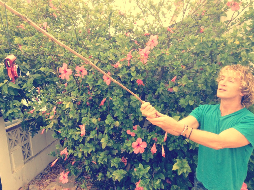 Sticking it to Socrates.