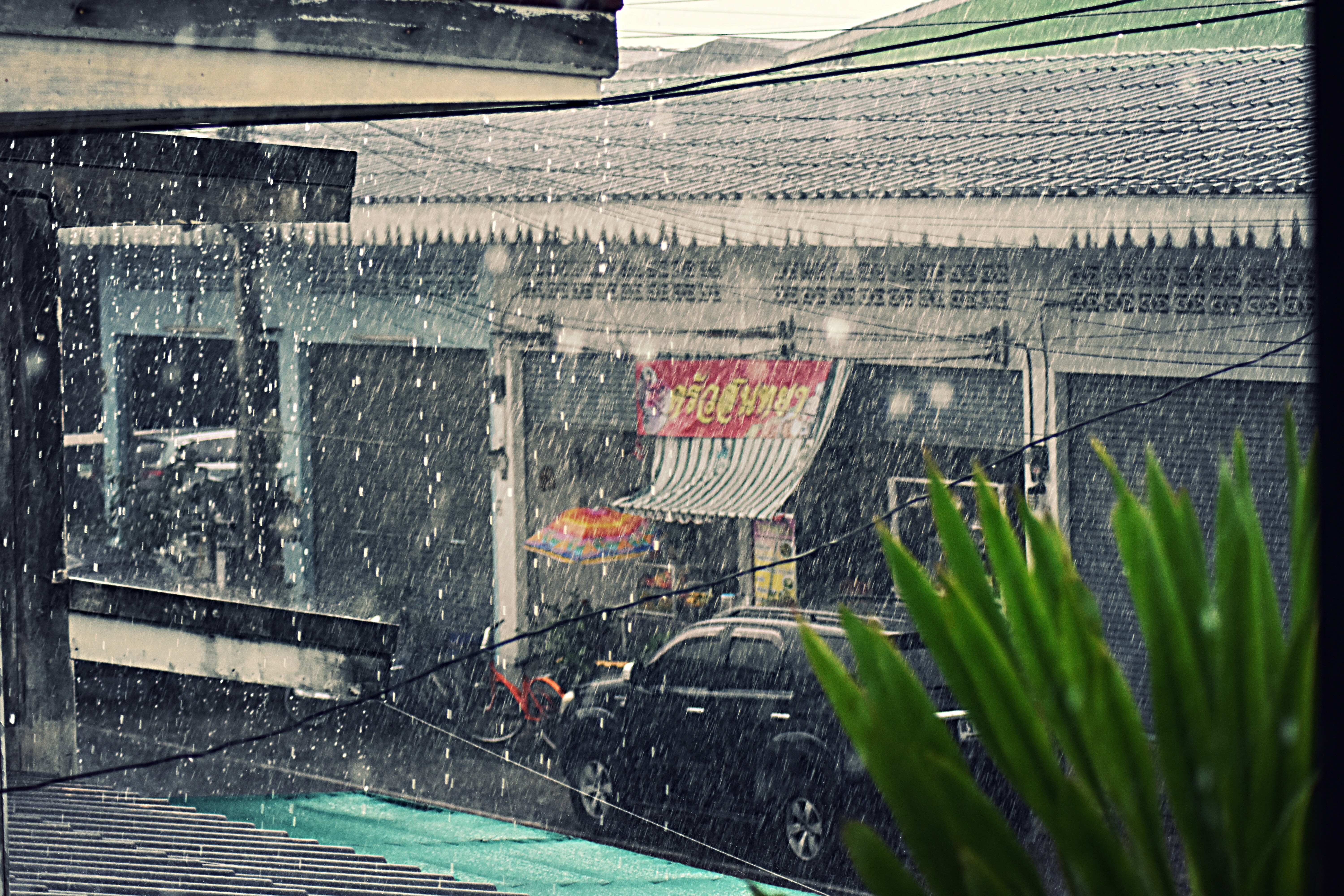 061E9261-9142-44AD-9474-0C16DBDDDE32