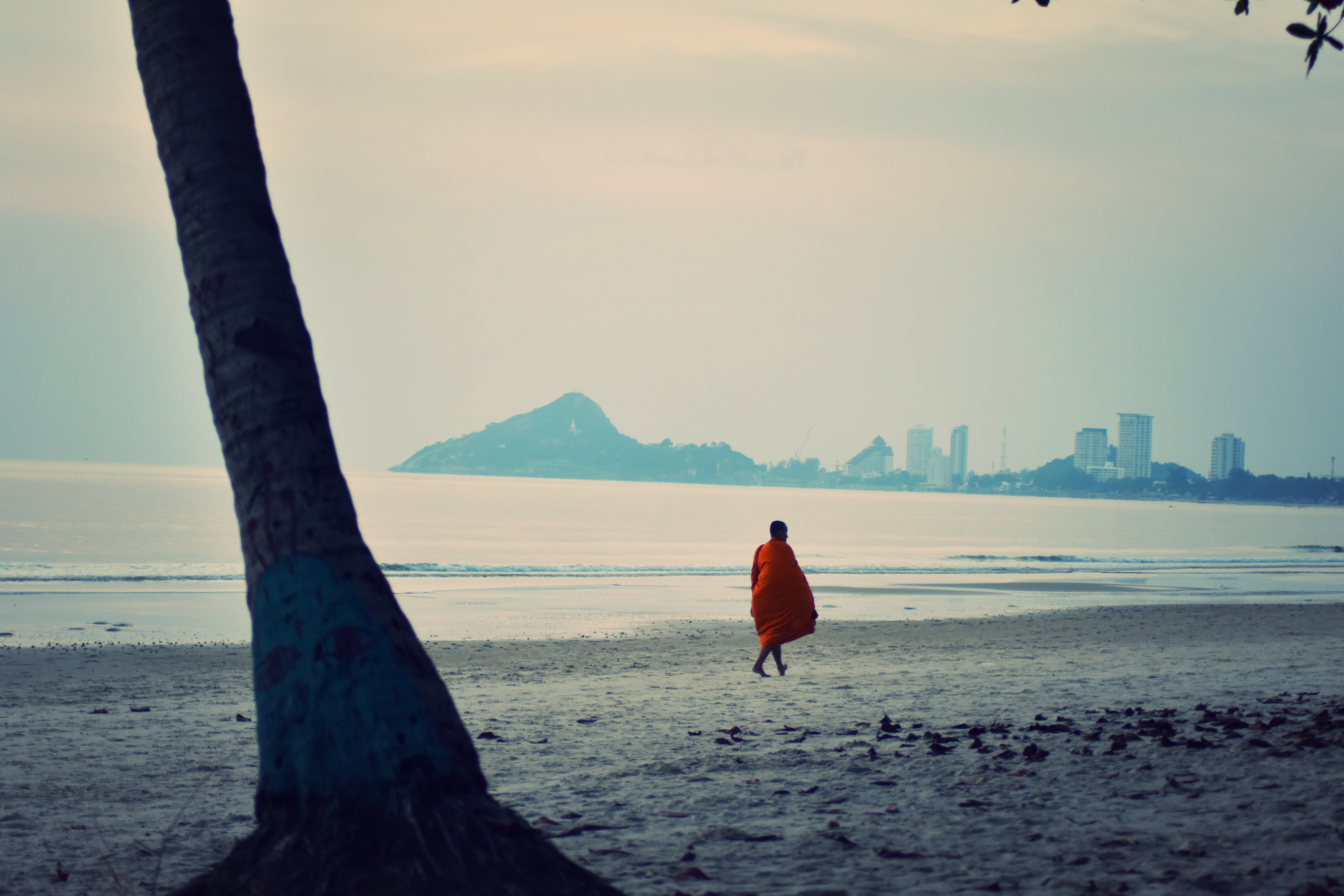 3F1E0029-CA6C-4282-B8DD-8DF6115653C5