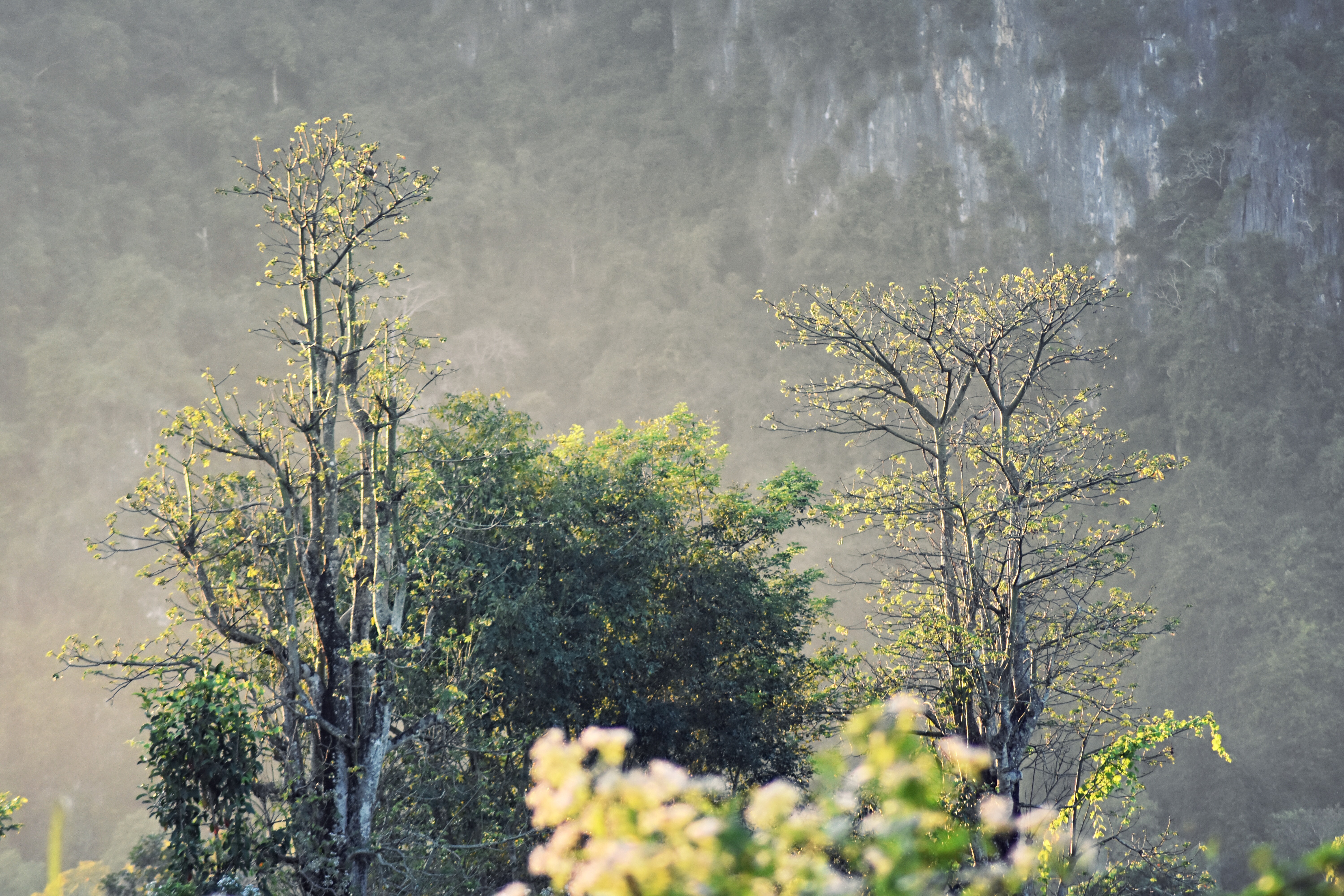 D85D0E10-D388-4202-B63E-45D7DDC4DF5B