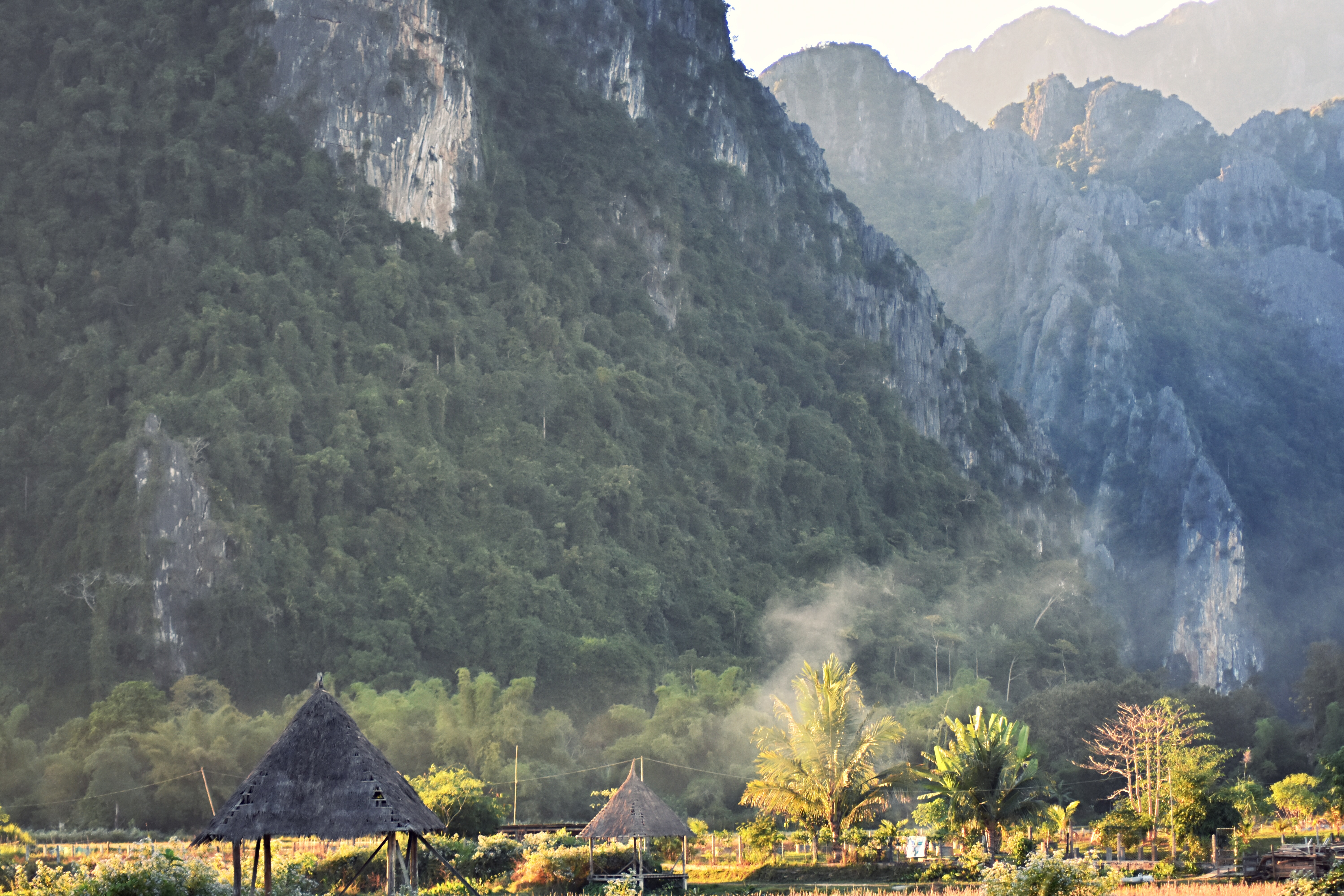 F01F7974-B484-4D48-87D5-A775AC436A0E