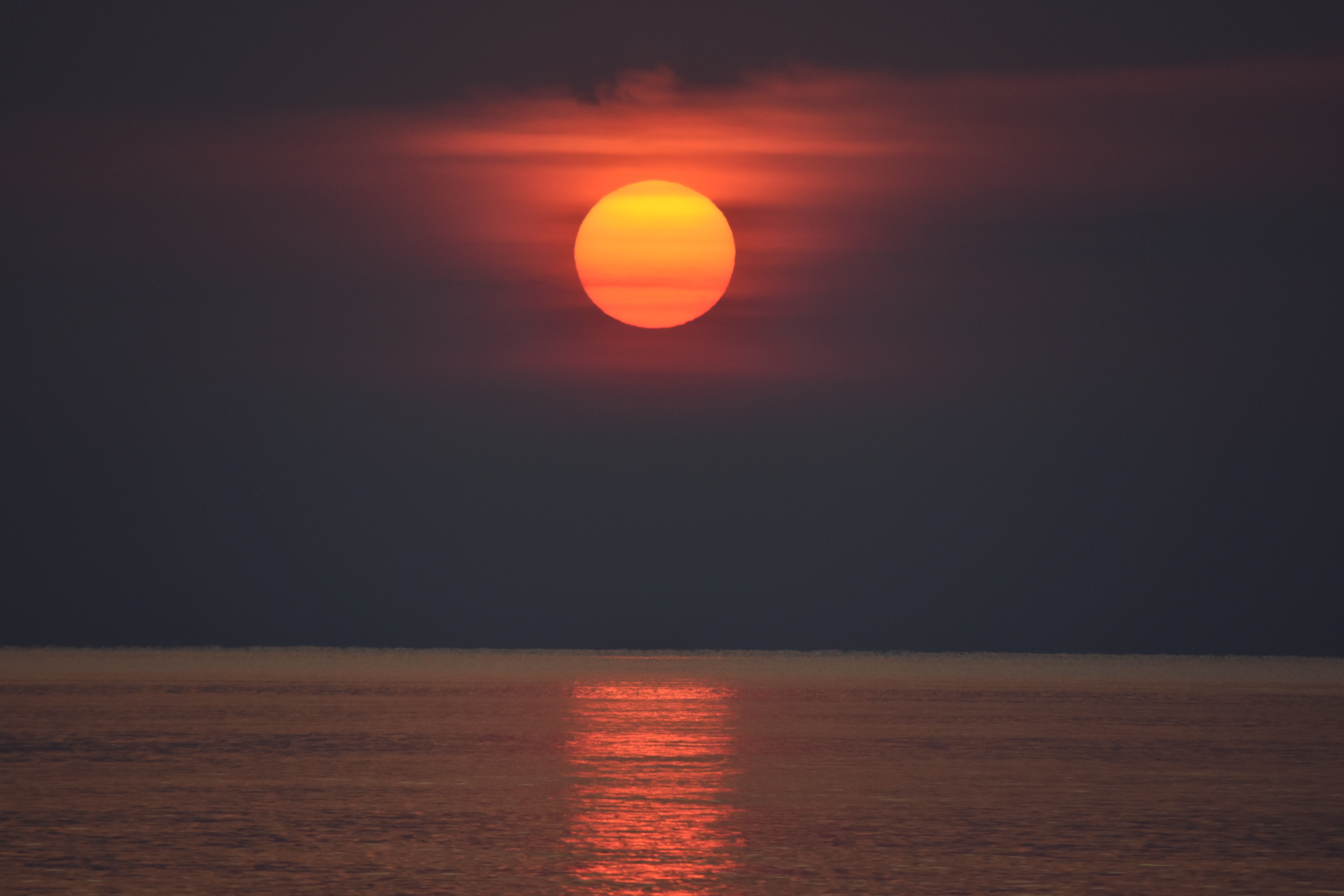 C713D85F-3D68-4855-9008-3B718BE16139