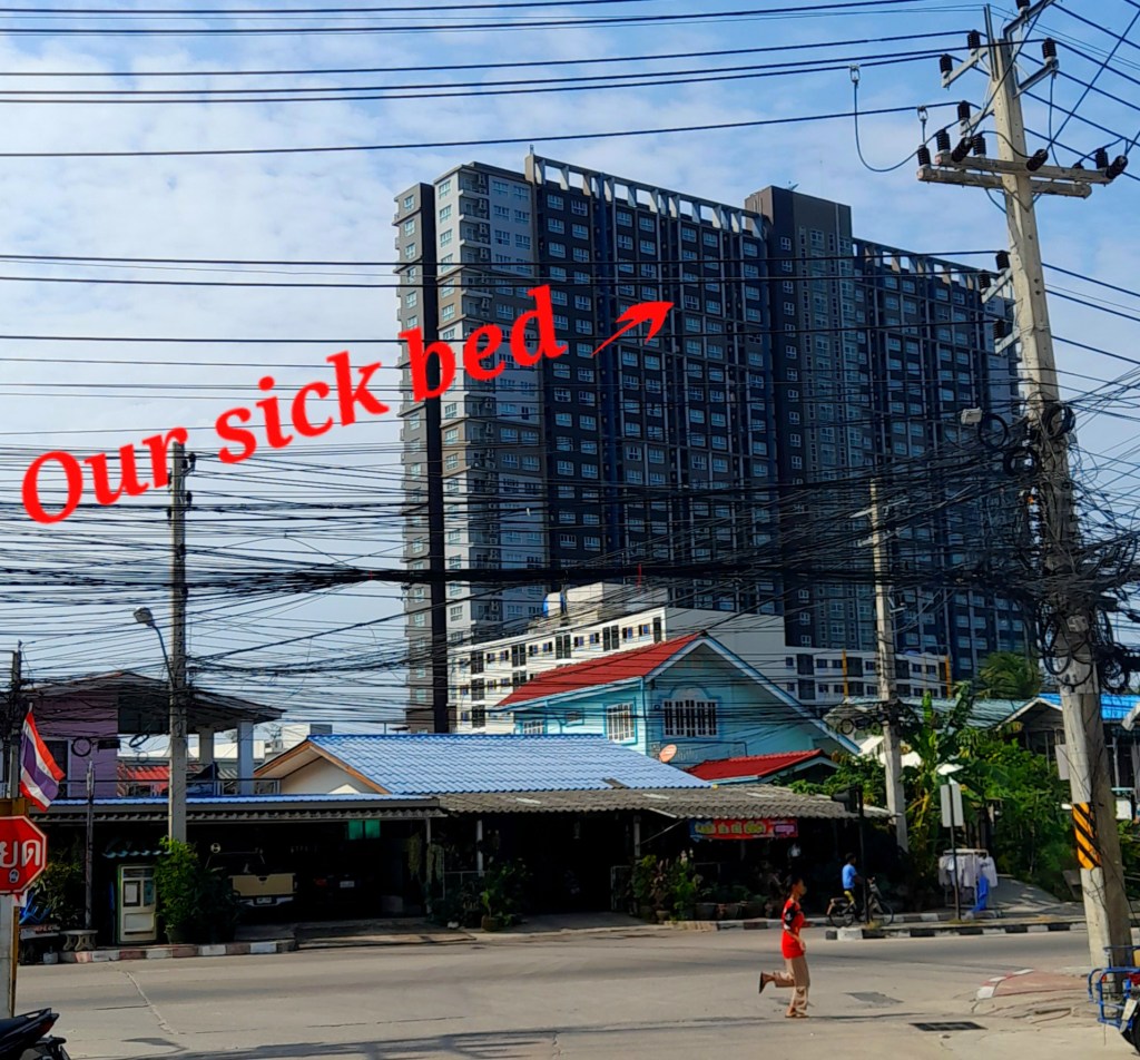 Floored By A Seafood Salad!